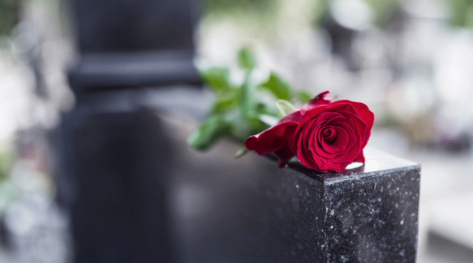 What Are the Steps to Filing a Wrongful Death Suit?