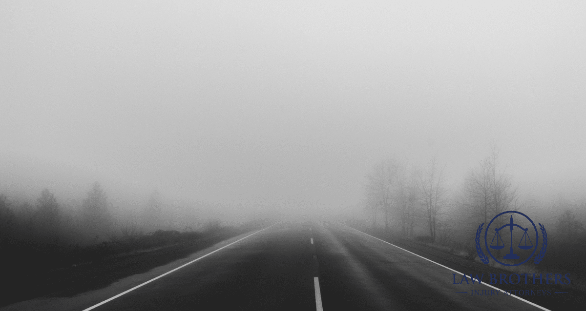 fog on a road