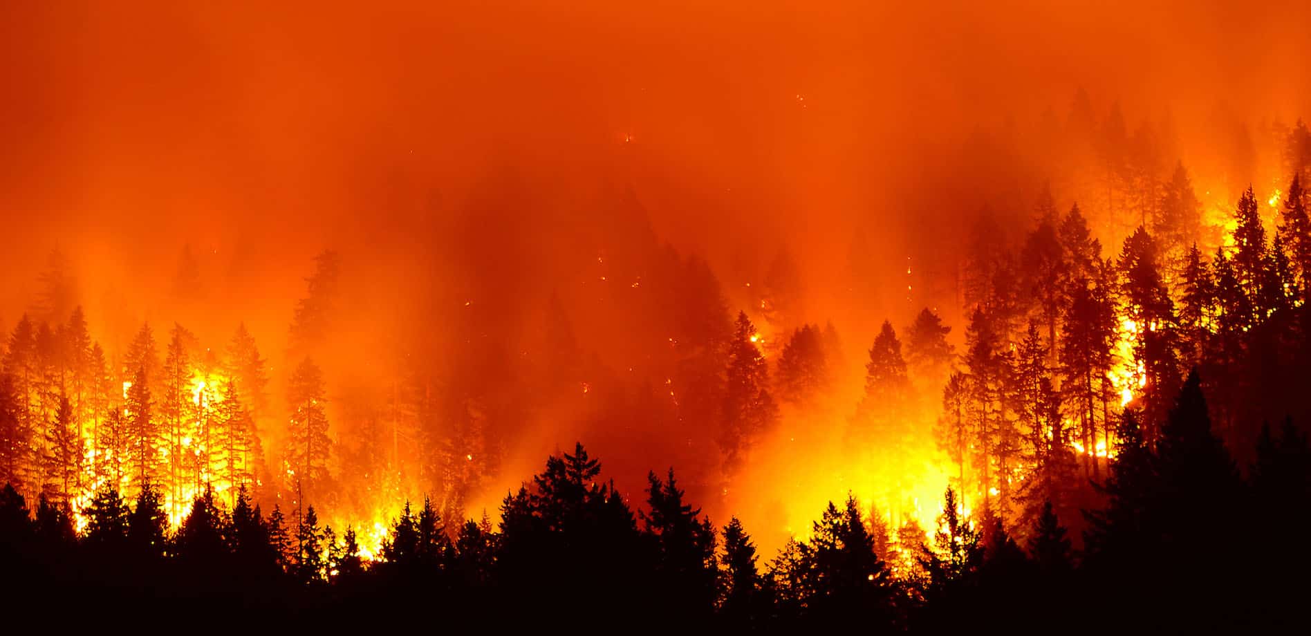 Eaton Fire: Understanding Your Legal Rights and Insurance Options